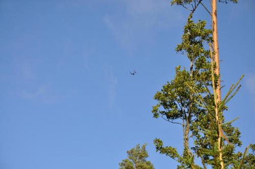 Para Endurance Race 2018