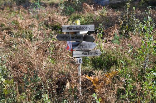 Para Endurance Race 2018