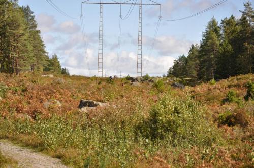 Para Endurance Race 2018