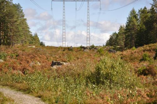 Para Endurance Race 2018