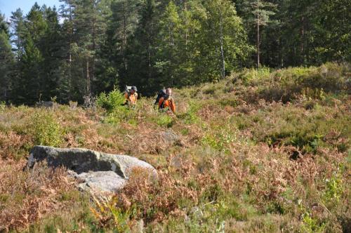 Para Endurance Race 2018