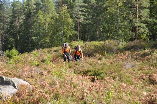 Para Endurance Race 2018