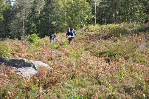 Para Endurance Race 2018