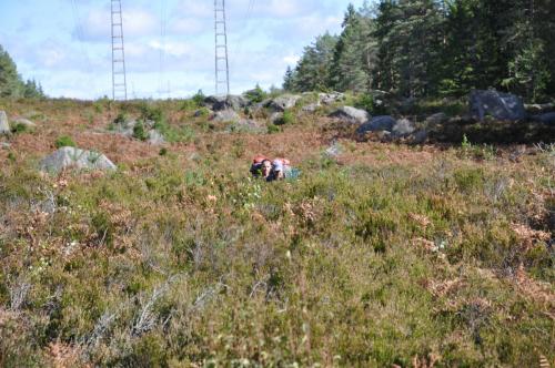 Para Endurance Race 2018