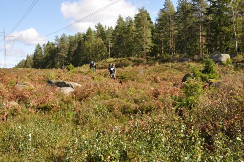 Para Endurance Race 2018