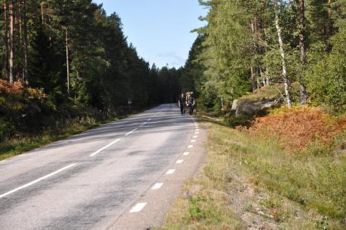 Para Endurance Race 2018