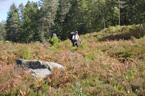 Para Endurance Race 2018