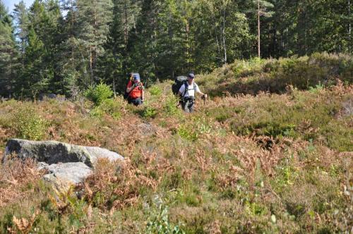 Para Endurance Race 2018