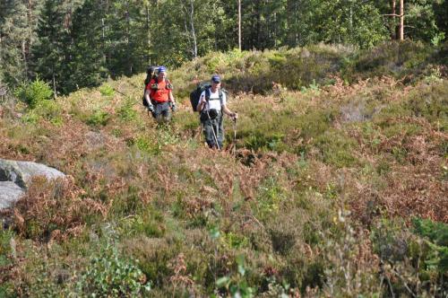 Para Endurance Race 2018