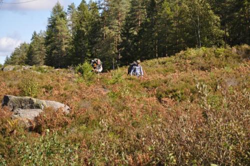 Para Endurance Race 2018