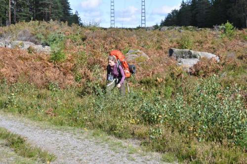 Para Endurance Race 2018