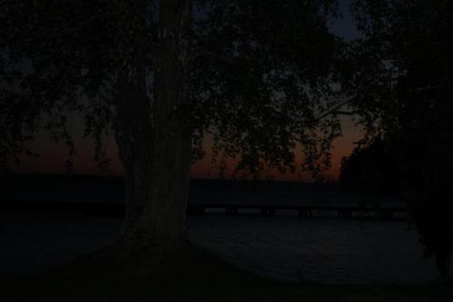 Para Endurance Race 2018