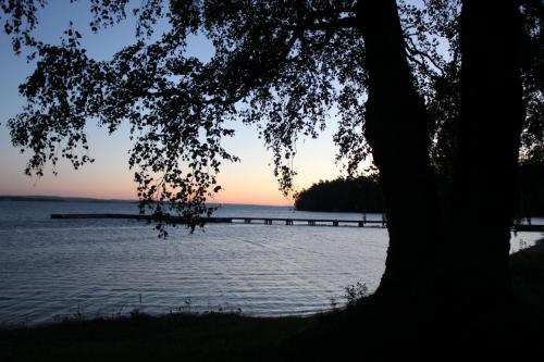 Para Endurance Race 2018