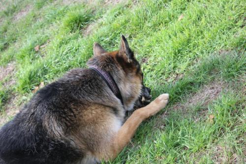 Para Endurance Race 2018